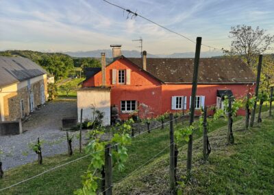 domaine bellegarde jurançon pyrénées